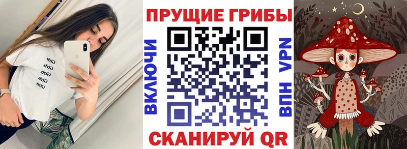 Галлюциногенные грибы Psilocybine cubensis купить наркотик Новый Уренгой